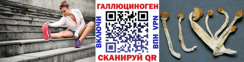 Купить закладки  Саратов  Псилоцибиновые грибы мицелий 